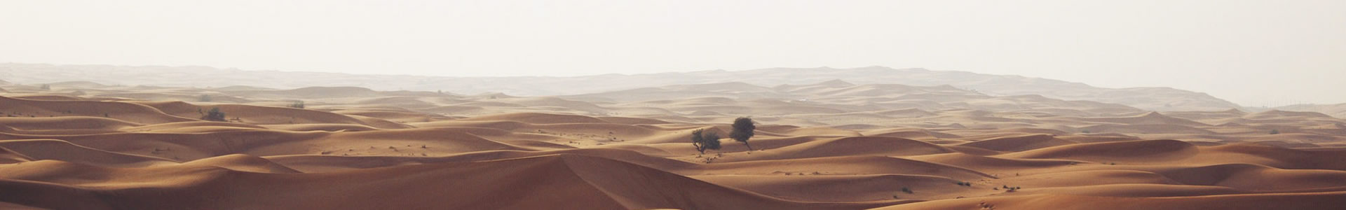 ݰԴƷƹ޹˾
